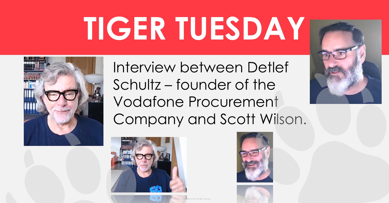Interview with Detlef Schultz –Procurement Category Visionary